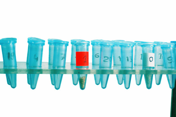 Captivating Your Audience