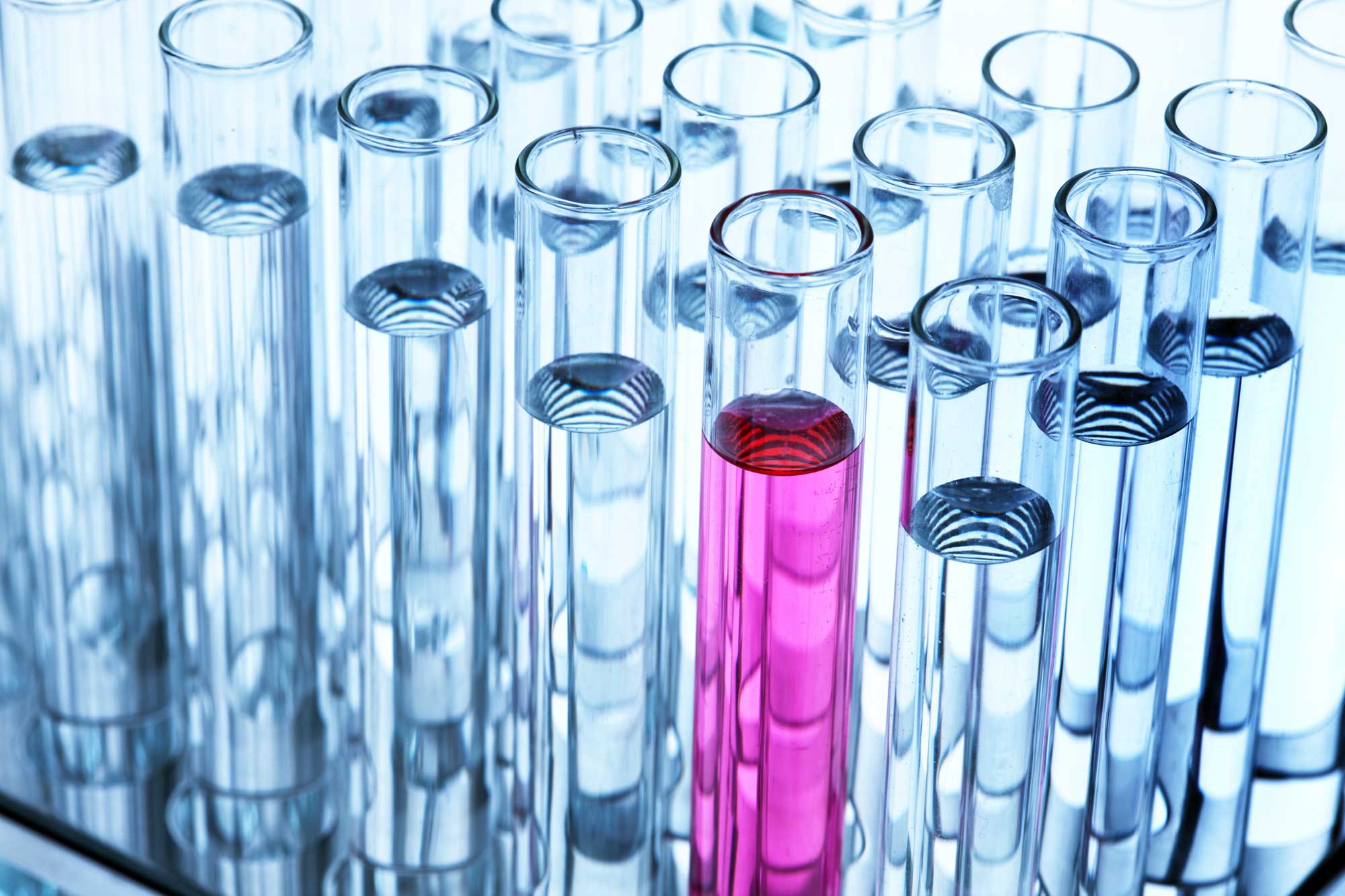 Life Science  Development & Design BioBM Consulting