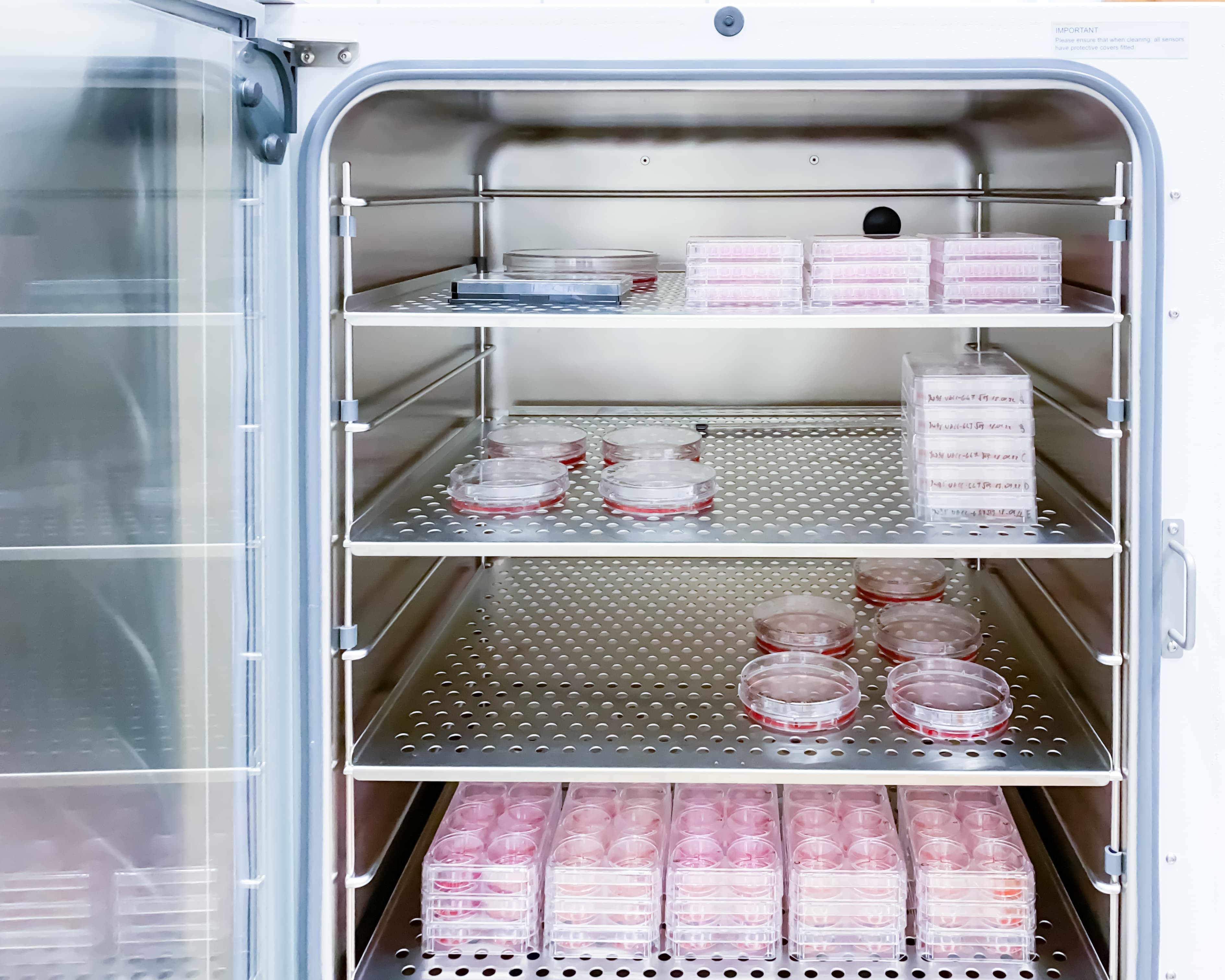 Cell Culture & Bioprocessing life science marketing