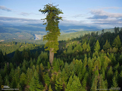 Photograph by Michael Nichols for National Geographic